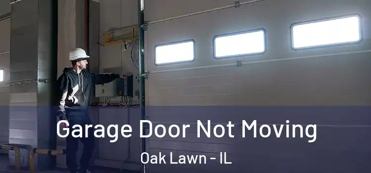  Garage Door Not Moving Oak Lawn - IL
