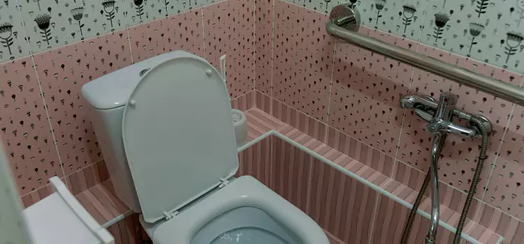 Meeting Diverse Needs With Accessible Restroom Solutions in Oak Lawn, IL